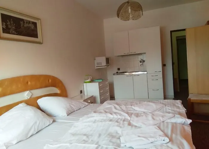 Mona Pensionat Harrachov